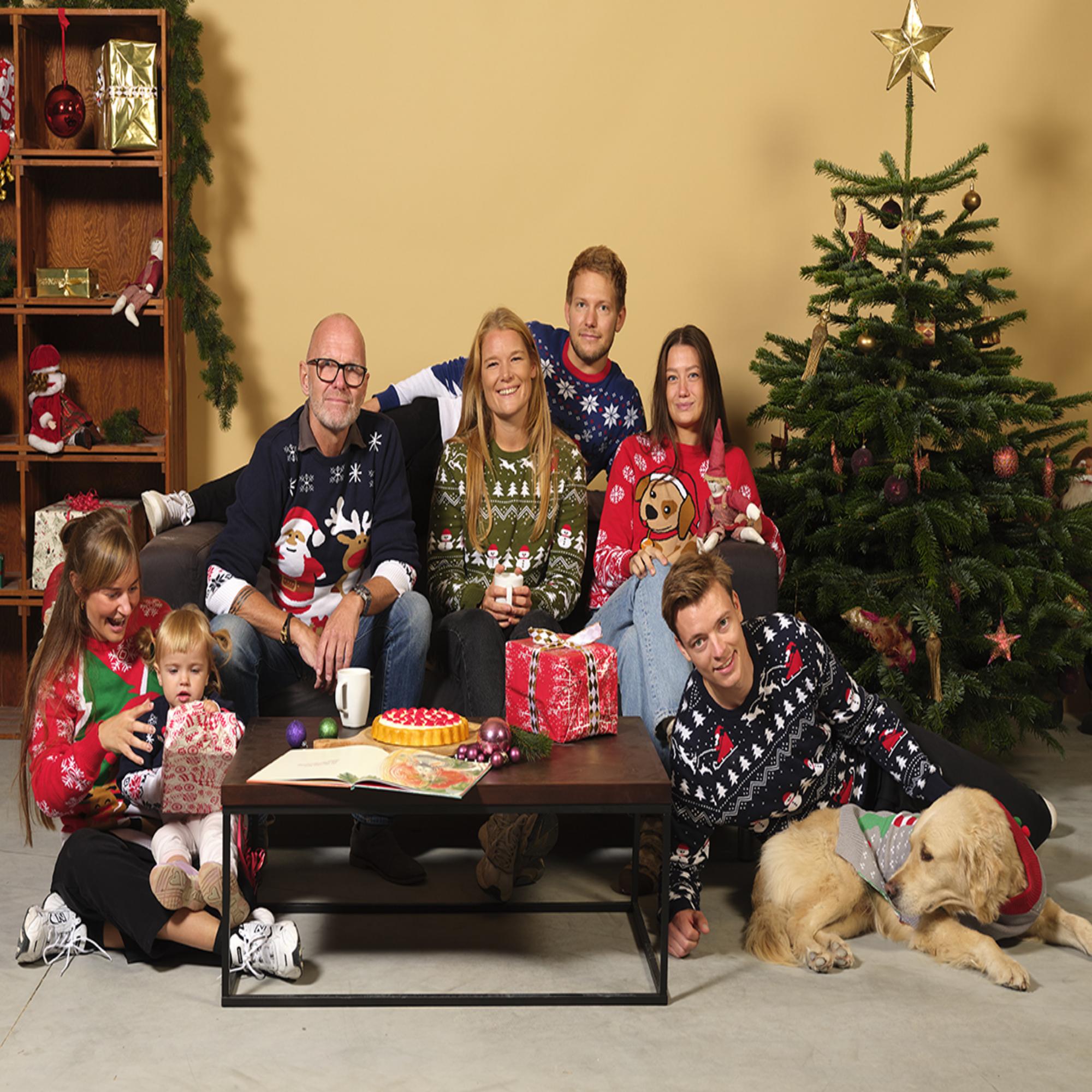 outdoor christmas light displays - Illustration