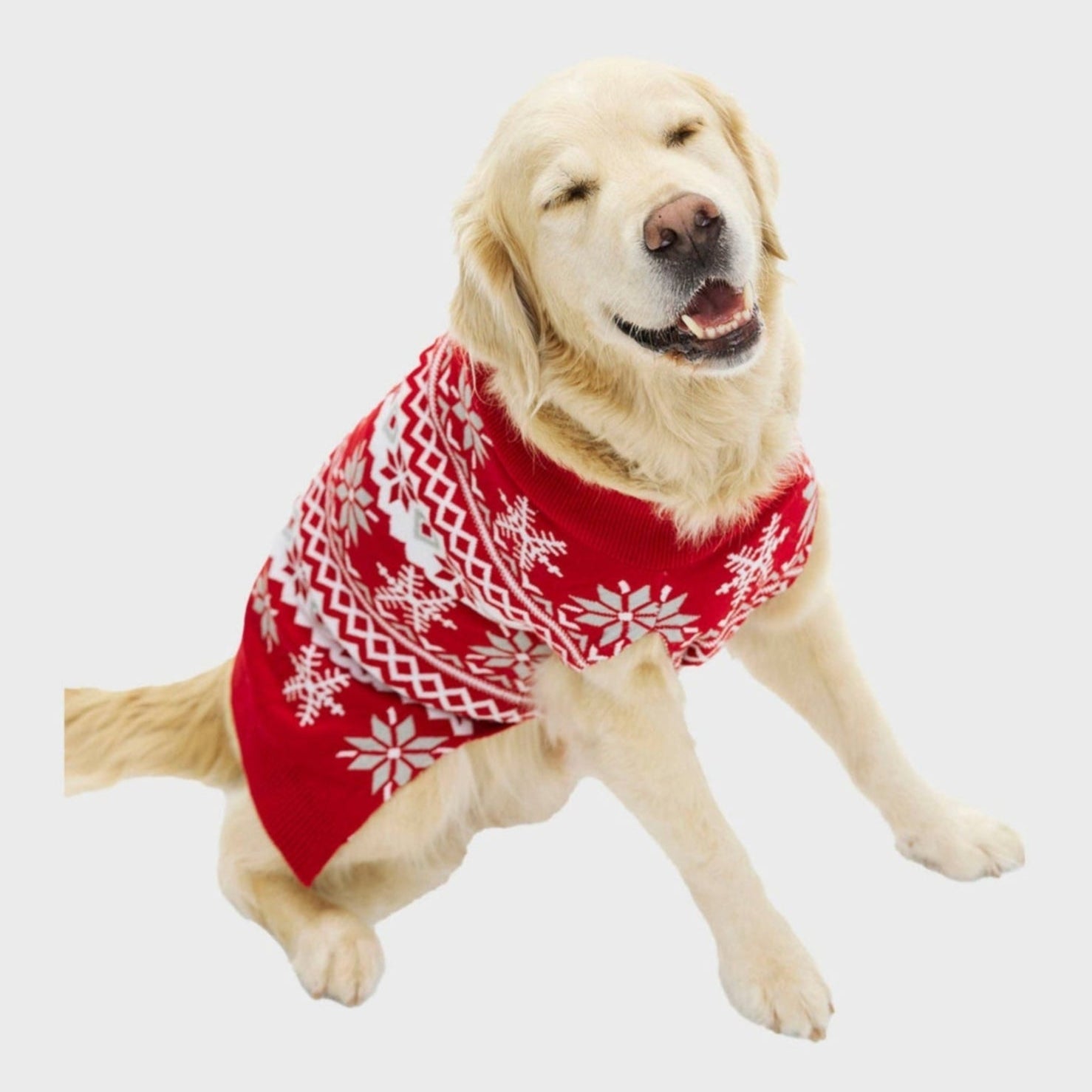 Dog christmas sweaters