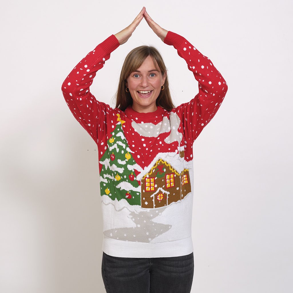 LED house Christmas sweater